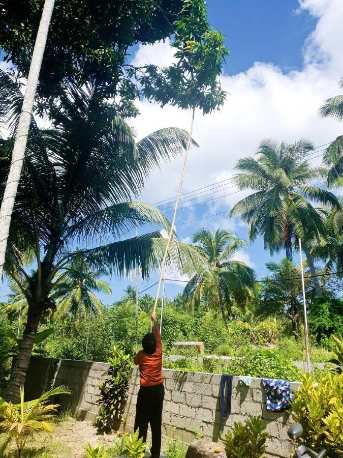 Blue Lagoon Resort, Neil Island Sitapur Exterior foto